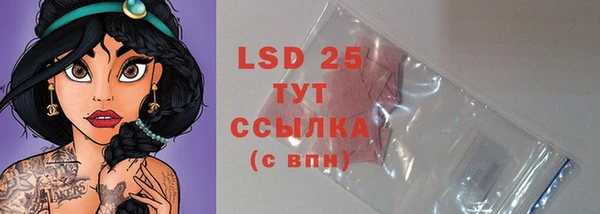 ПСИЛОЦИБИНОВЫЕ ГРИБЫ Горняк