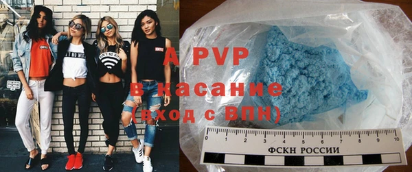 PSILOCYBIN Вязники