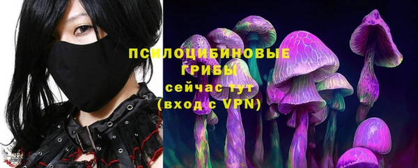 PSILOCYBIN Вязники