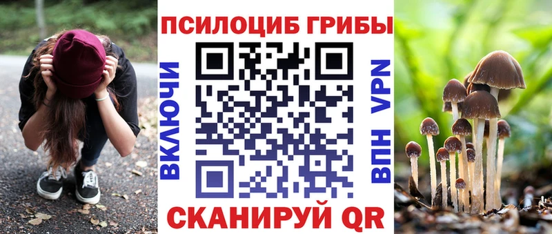 Псилоцибиновые грибы Cubensis  Игарка 